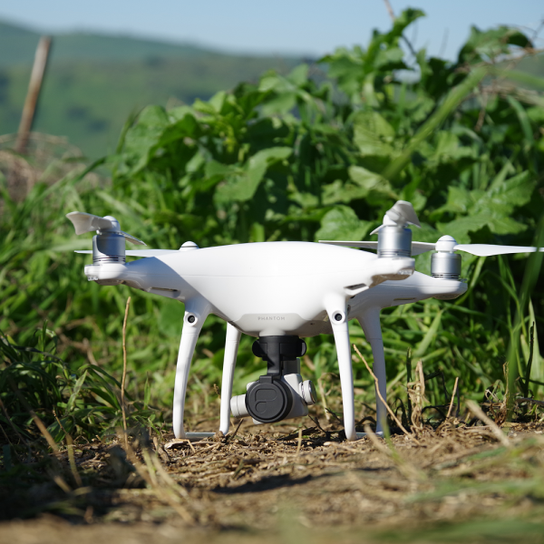 PolarPro DJI P4 Pro/Adv - Lens Cover